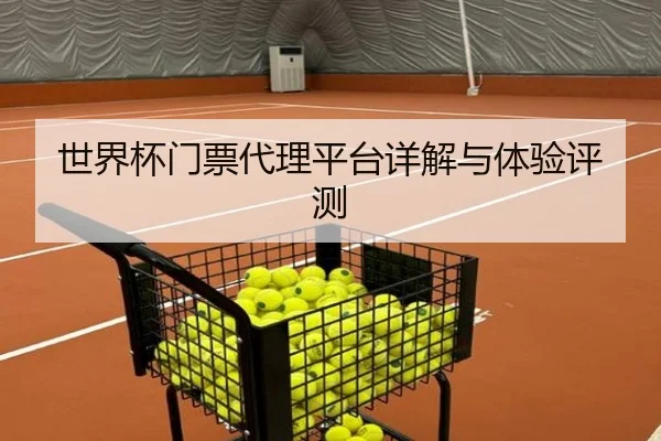 世界杯门票代理平台详解与体验评测