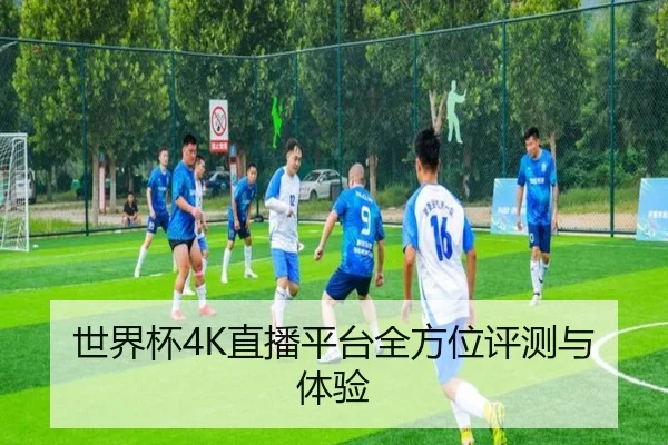 世界杯4K直播平台全方位评测与体验