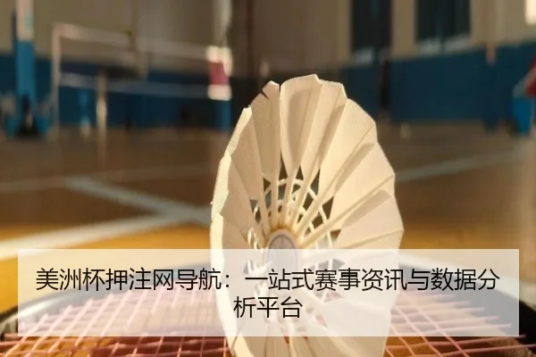 美洲杯押注网导航：一站式赛事资讯与数据分析平台