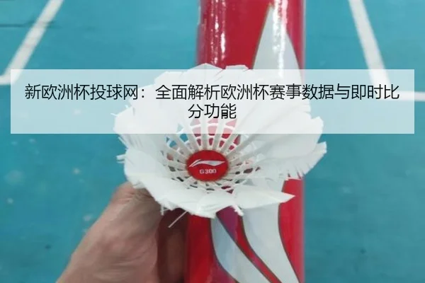 新欧洲杯投球网：全面解析欧洲杯赛事数据与即时比分功能