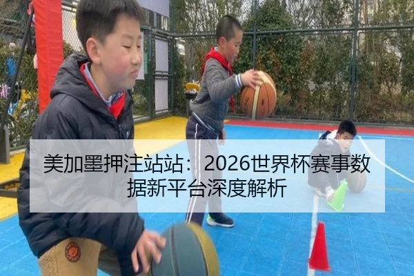 美加墨押注站站：2026世界杯赛事数据新平台深度解析